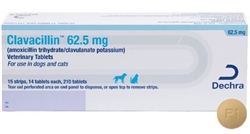 Amoxi-Clav (generic Clavamox) 62.5mg Tablet