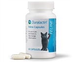 Duralactin Feline, 60 Capsules