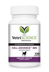 VetriScience Cell Advance 880 l Superior Antioxidant For Dogs