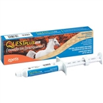 Quest Plus Equine  Gel, 0.4 oz Oral Syringe