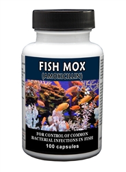 Fish Mox (Amoxicillin) 250mg, 100 Capsules