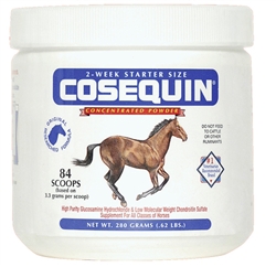 Cosequin Equine Concentrate Powder, 280 grams