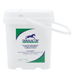 Duralactin Equine, 850 gram Bucket