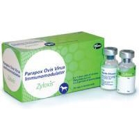 Zylexis Equine Herpes Virus Vaccine (Parapox Ovis Virus Immunomodulator), 5 x 1 Dose