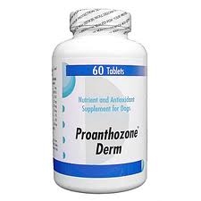 Proanthozone Derm For Dogs, 90 Tablets