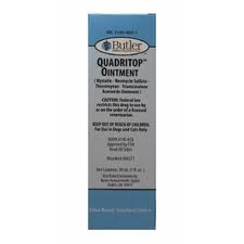 Quadritop Ointment l Ear & Skin Antibiotic For Dogs & Cats