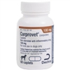 Carprofen: Arthritis Medicine For Dogs