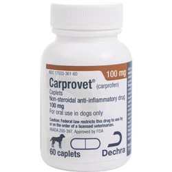 Carprofen: Arthritis Medicine For Dogs