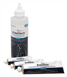 EnteDerm Ointment-Topical Antibiotic For Pets - 240 ml