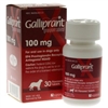 Galliprant 60mg, 100 Flavored Tablets