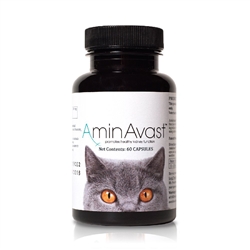 AminAvast Kidney Support For Cats, 60 Capsules