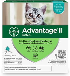 Advantage II For Kittens l Flea Control For Kittens - Cat