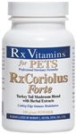 Rx Vitamins RxCoriolus Forte, 100 gram Powder