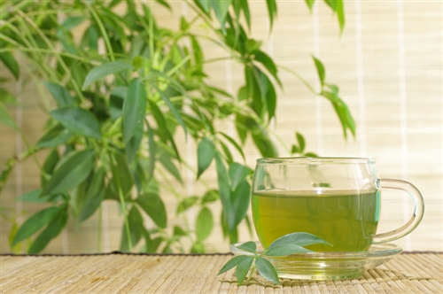 Bamboo & Green Tea