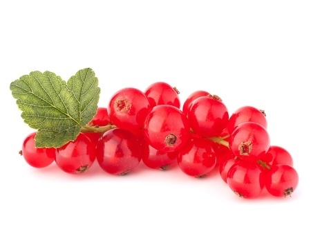 Red Currant