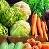 Vegetable of the month club Trademark Registration Number 3933231, Vegetable of the month club, Buy Vegetable of the month club, Organic 5 pounds Vegetable of the month club, Vegetable of the month club review, Vegetable of the month club price, Veggie