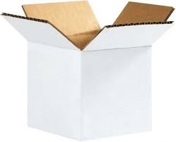 BXW WHITE 10x10x10 Corrugated Shipping Boxes