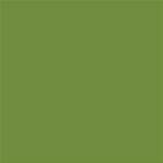 TPR 2030 GTE - Satin Wrap Tissue Paper - GREEN TEA - 20" x 30", 480 Sheets Per Ream