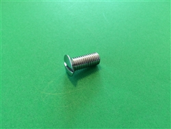 Chrome Plated Oval Slotted Head Screw  DIN 91 M10x25
