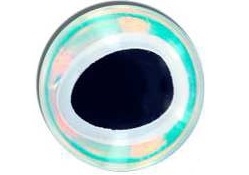 3D Eyes - 3/8" 9.5mm