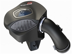 AFE Momentum GT Pro 5R Cold Air Intake System 340i/ix