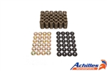 Achilles Motorsports Valve Spring Kit BMW S54 - 12.5mm Lift Cams