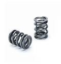 Supertech Valve Springs Kit - BMW S54