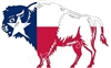 Texas Flag Buffalo