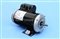 spa pump motor Century 7-196012-03, MP-130, MARQUIS MP-130, 196012, 3421021-1