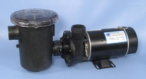 Waterway pool pump