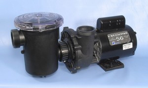 Waterway pool pump with leaf trap