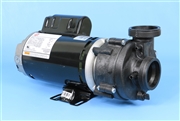 Spa Pump PUULSC240258220 PUULS240258220H 1014234 1014247 8.4-8.5A 230V 2-spd, PUULSC240258220 PUULS240258220G, 5KCR39UN2842CX