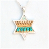 Star of David Necklace