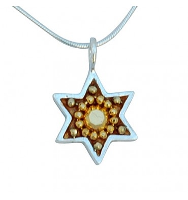Small Gold Star of David Necklace by Ester Shahaf
