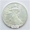 Blemished Silver Eagle 20 Coin Roll - Dates our Choice - Uncirculated