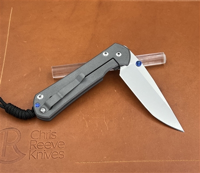 Large Sebenza 31 Plain Drop Point (October 2022 DOB)