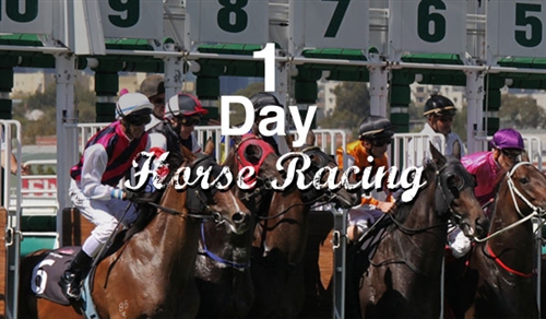 1 Day Horse Racing Trial