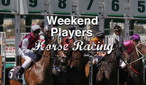 Weekend Warrior Horse Racing Service