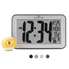 Atomic Self-Setting, Self-Adjusting Panoramic Clock (SILVER)