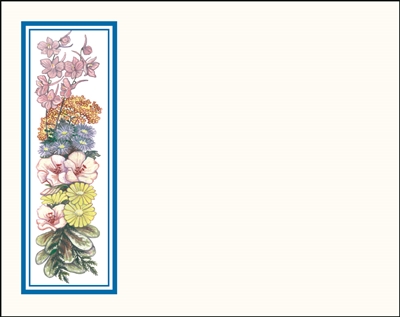 Falls 626 Enclosure Card - Assorted Flowers with a Blue Border