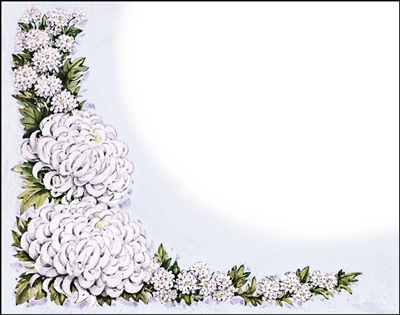 Falls 704 Enclosure Card - White Flowers with Holly