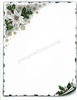 White Poinsettia with Scroll