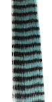 Stripes Teal - 8pack