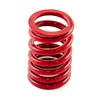 Intake Valve Spring