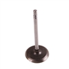 Intake Valve