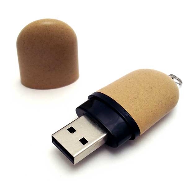 Eco Friendly Plastic USB Pen Drive 900