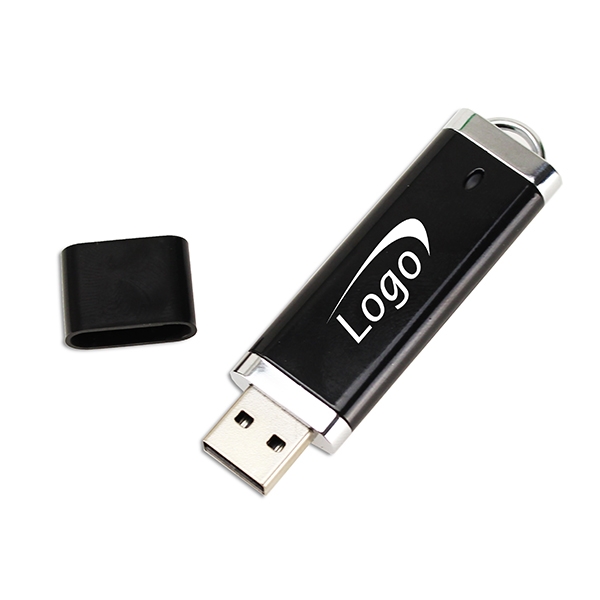 USB Pen Drive 500