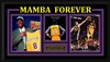 Kobe Bryant "Mamba Forever" Limited Edition Collage Framed