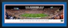 Florida Gators - Steve Spurrier-Florida Field Panoramic