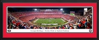 Georgia Bulldogs - Sanford Stadium Panoramic